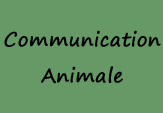 Form�e � la Communication animale par Ludivine Carlier Ost�opathe DO et animallier, je vous propose des ateliers de communication animale pour vous relier au vivant par l'intuition