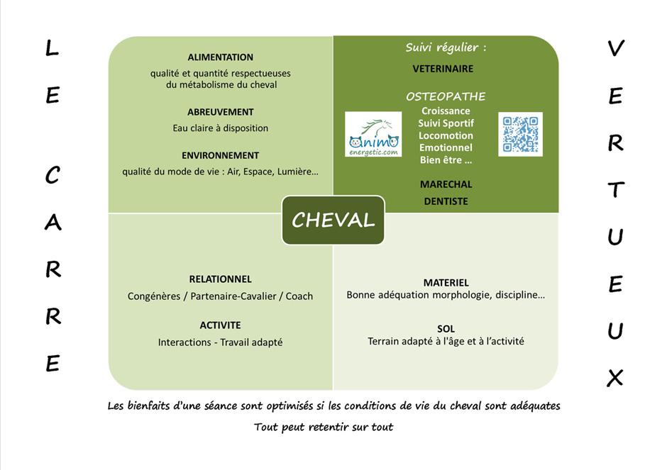 ost&eacute;opathe animalier chrente dordogne haute vienne
