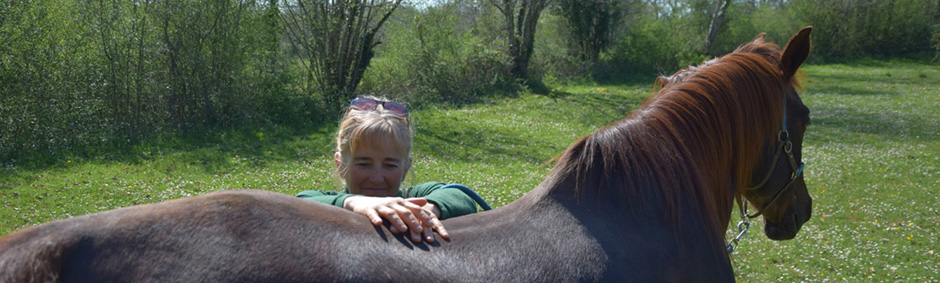 Ost�opathe Animalier en Charente Dordogne Haute Vienne