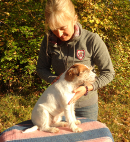 ost�opathe animalier pour chien en charente cliquez ici pour plus d'informations