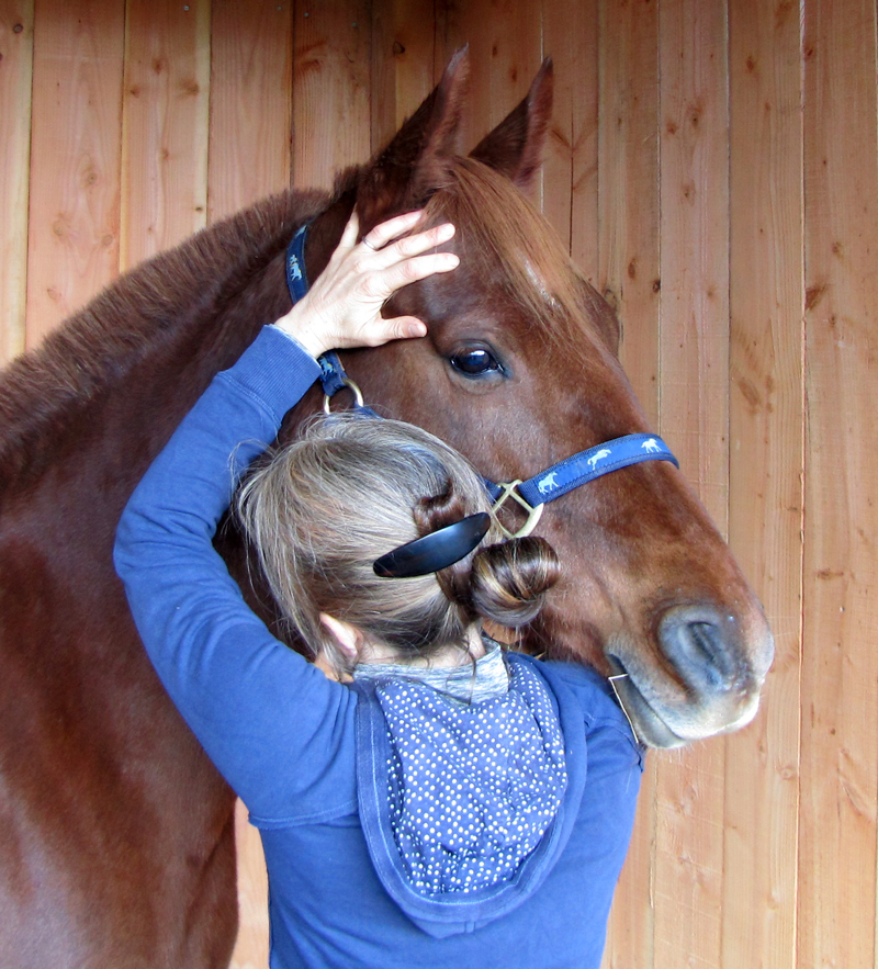 Ostéopathe équin en Charente