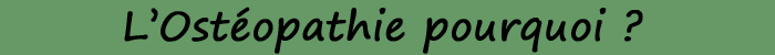 Pourquoi consulter un ost&eacute;opathe animalier ?